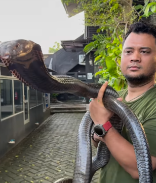 Panji Petualang. (Instagram @panjipetualang_real)