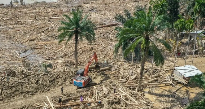Polisi Temukan Jejak Pembalakan Liar di Sumut, Kasus Ditingkatkan ke Tahap Penyidikan