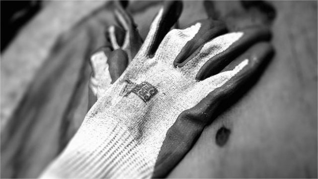 Kasus Heboh di Afsel, Tersangka Pembunuhan 2 Perempuan Dipaksa Buang Jasad Jadi Makanan Babi