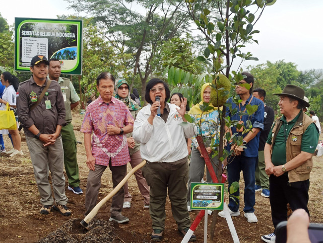 Perubahan Iklim Nyata, Jangan Sekadar Tanam Tapi Pelihara