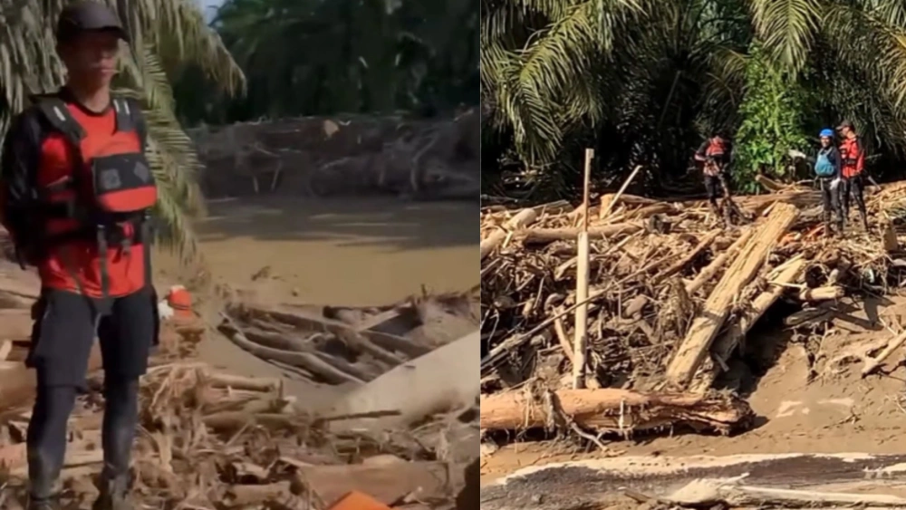 Viral Tim SAR Evakuasi Bangkai Orang Utan Tapanuli Terseret Banjir di Perkebunan Sawit