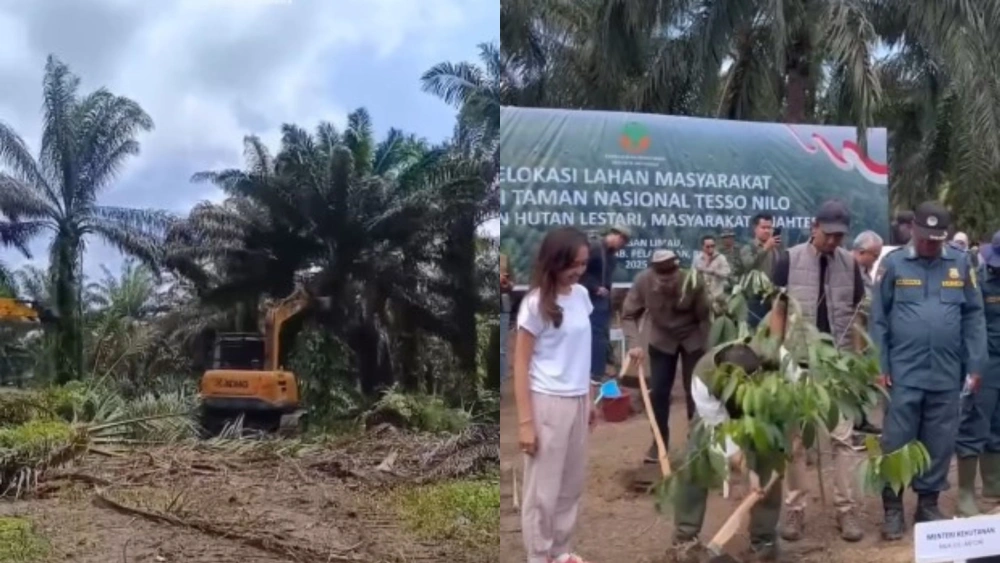Penumbangan sawit di TN Tesso Nilo. [instagram]