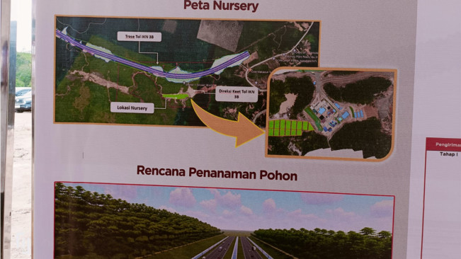Nuansa Hutan Avatar di IKN Nusantara