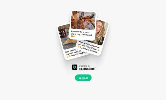 TikTok Notes Akan Hadir Saingi Instagram