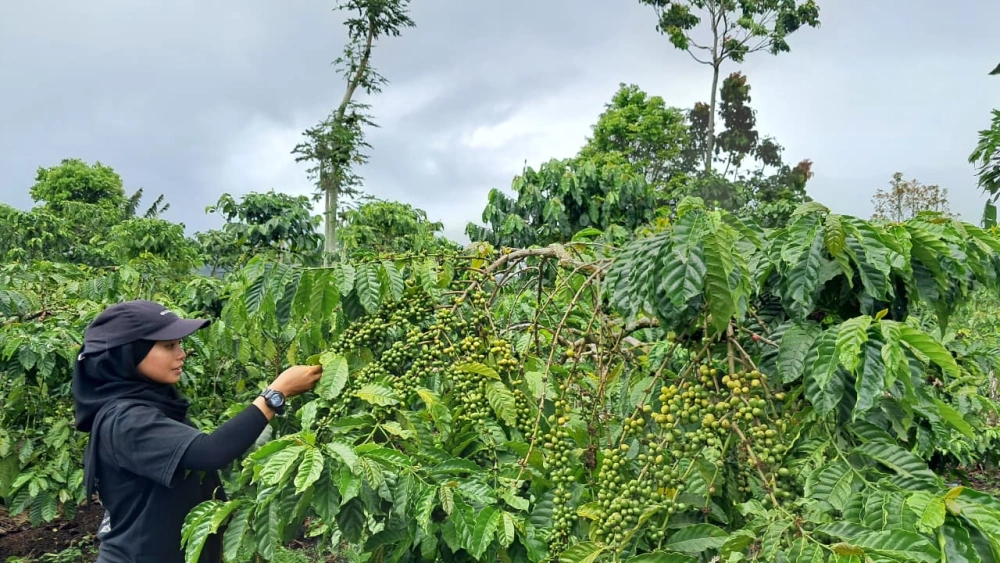 Intip Potensi 2 Desa di Rejang Lebong Sabet Juara Anugerah Desa Wisata Bengkulu 2025