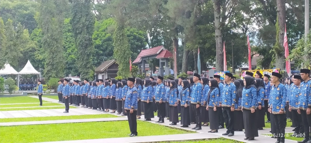 Gagal Dilantik, Keluhan PPPK Rejang Lebong Ramai di Media Sosial