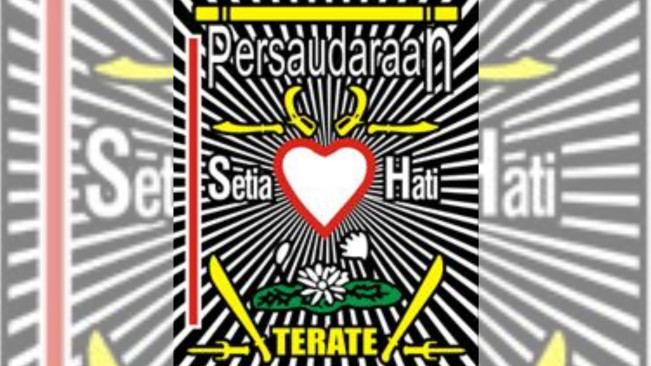 Profil PSHT, Organisasi Pencak Silat yang Kerap Jadi Sorotan di Jepang