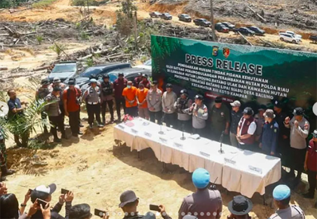 Pengungkapan kasus perambahan hutan lindung/Foto: Instagram Polda Riau