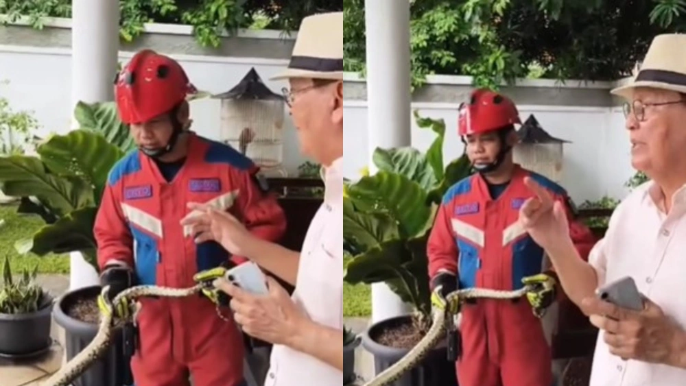 Rumah Roy Marten kemasukan ular sanca. [instagram]