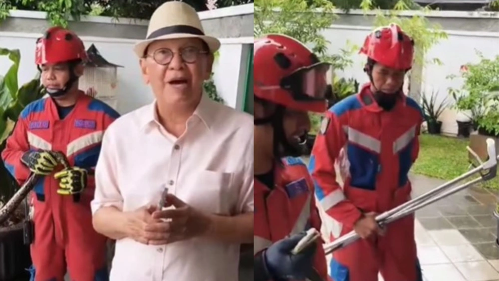 Sempat Tangani Sendiri Ular Sanca 1,5 Meter, Roy Marten Akhirnya Menyerah dan Panggil Damkar