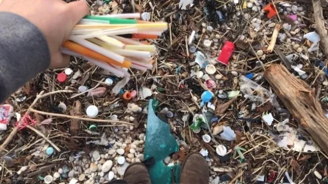 Mulai Tahun Depan, Buang Sampah ke Sungai di Kota Medan Didenda Rp 10 Juta