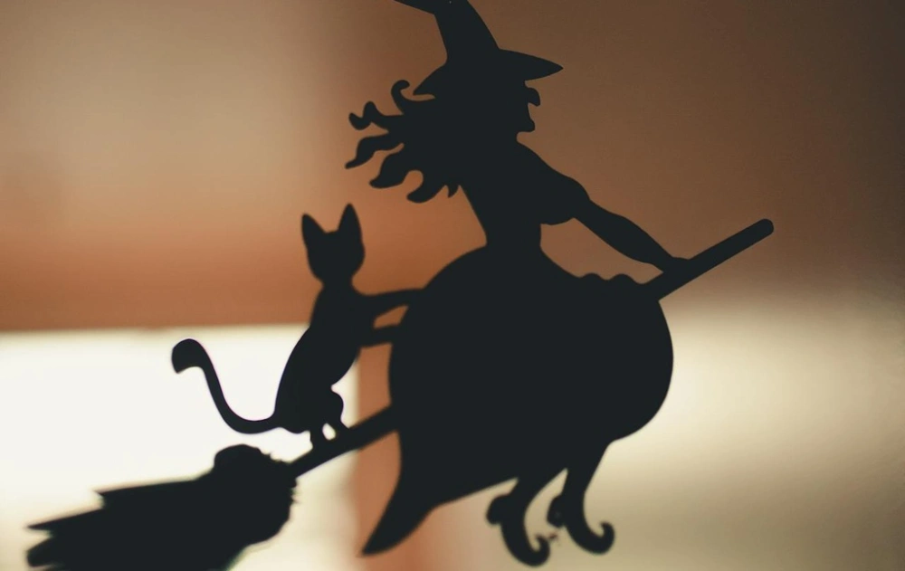 Ilustrasi  - Penyihir menaiki sapu. [Pexels Fabio Lange]