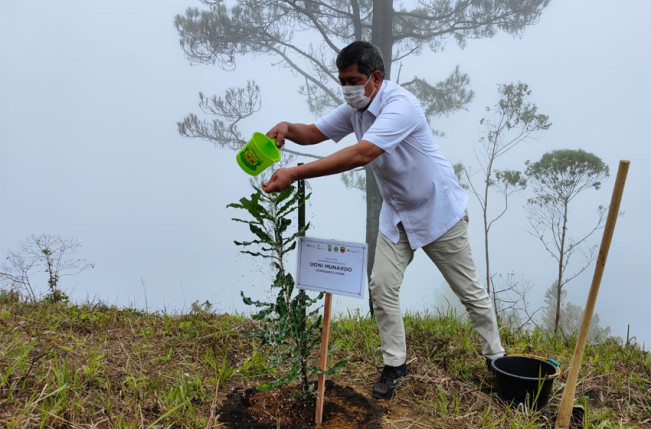Doni Monardo: Inalum Utang Budi kepada Danau Toba