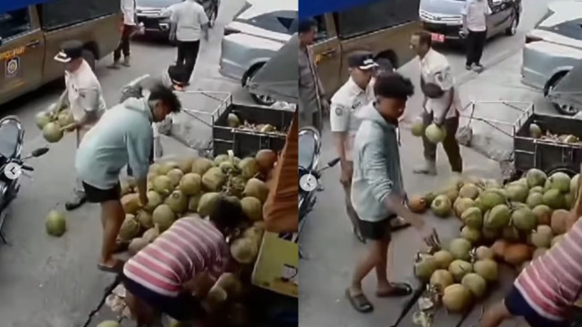 Satpol PP Samarinda Dihujat akibat Razia Kelapa Sebagian Dibawa Pulang
