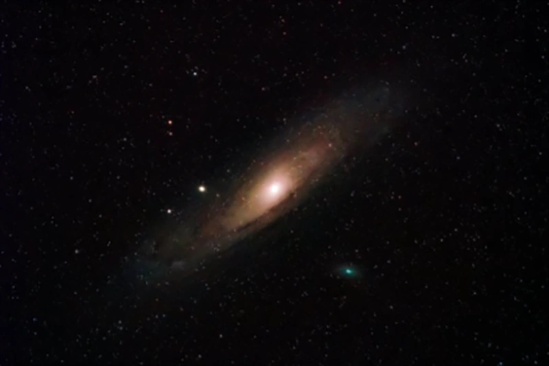 Ilustrasi [Foto: Pexels.com]