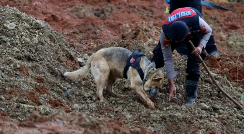 Update Longsor Cilacap: 8Jenazah Ditemukan, Termasuk Potongan Tubuh, Total 11 Meninggal