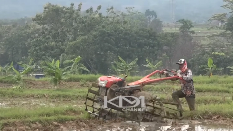 Anggota DPR: Bobibos Menjanjikan, Bisa Jadi Tamparan Keras bagi Pertamina