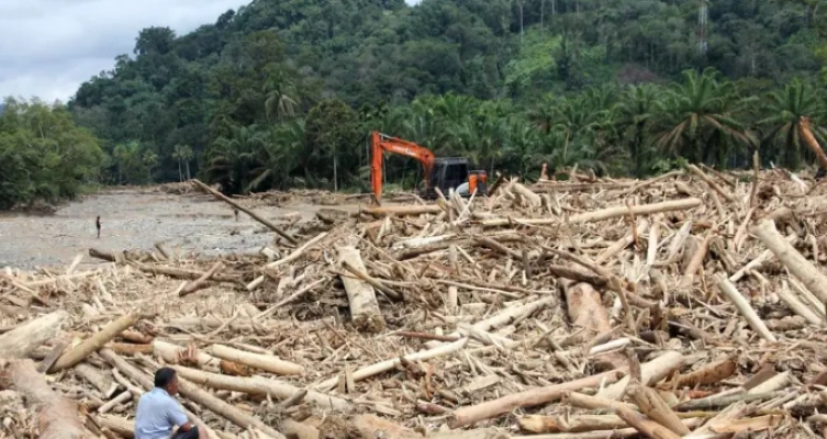 Penegakan Hukum Kehutanan Rendah, DPR: Apa Masalahnya? Benteng Terlalu Kuat? Bintangnya Banyak?