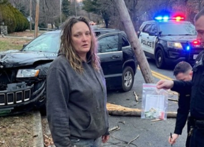 Tersangka pelaku Shannon Godbout memiliki catatan panjang kasus kriminal [Foto: X Libs of TikTok]