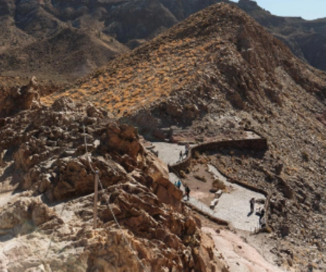 Ilustrasi [Foto: Daria Agafonova, pexels.com]