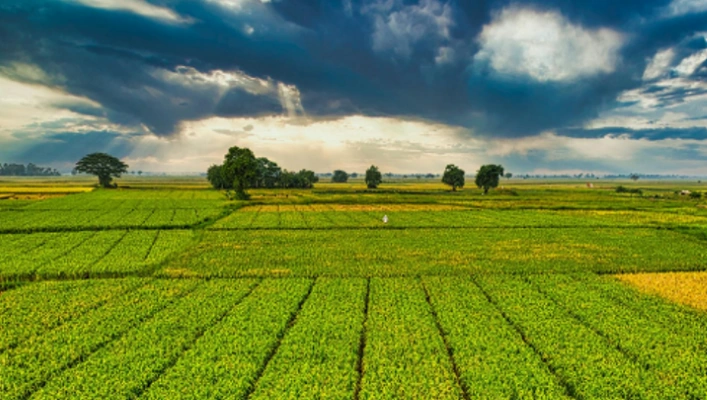 Ilustrasi pertanian [Foto: Tom Fisk, pexels.com]