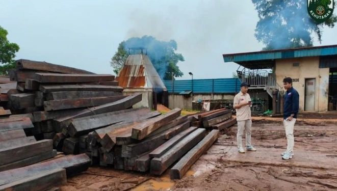 Gakkumhut Wilayah Sumatra Ungkap Jaringan Peredaran Kayu PHAT Ilegal AntarPulau