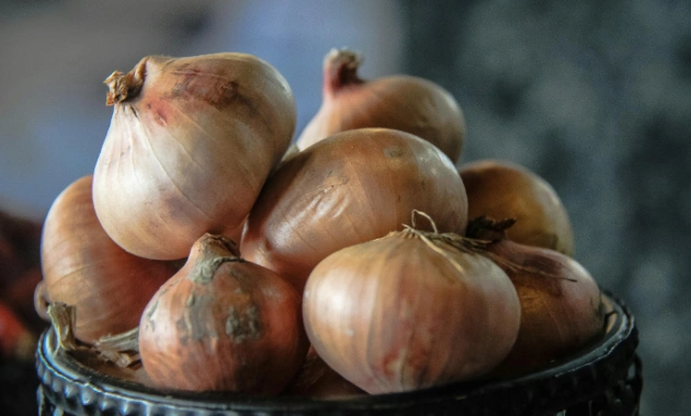 Ilustrasi [Foto: Shadat Bin Hossain, pexels.com]