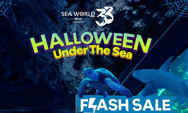 Sea World Ancol Promo Flash Sale Tiket B1G1 Hari Ini 2 Oktober Edisi Halloween