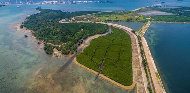 Jakarta Ingin Bangun Pulau Sampah? Contek Pulau Semakau!