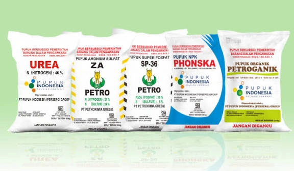 Kabar Baik untuk Petani! Rejang Lebong Terima Tambahan 200 Ton Pupuk Subsidi