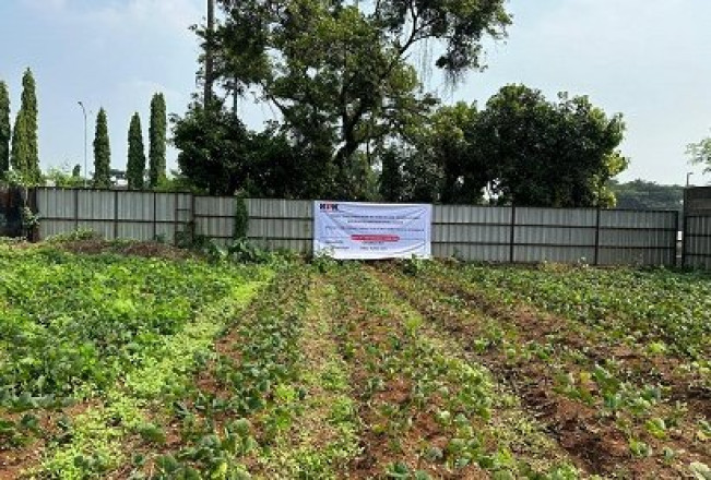 Tanah yang pernah dilelang KPK. (kpk.go.id)