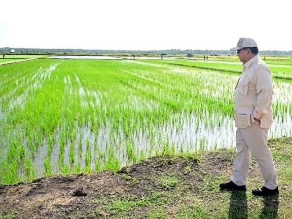 Target Awal 604 Hektare Selesai Petani Rejang Lebong Segera Garap Sawah Baru