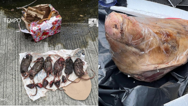 Teror Kepala Babi dan 6 Tikus  Terpenggal, Netizen: Berarti Tempo  Berada di Jalur Tepat