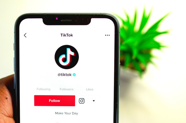 Ilustrasi TikTok (Pixabay)