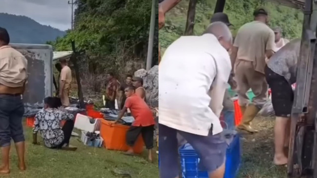 Tak Ada Penjarahan, Viral Warga Aceh Bantu Kumpulkan Ikan yang Tercecer dari Truk Terguling