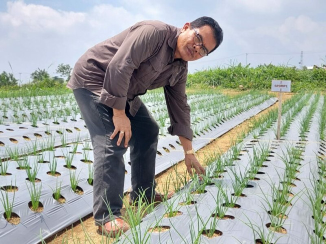 Uji "Fly Ash" Jadi Media Tanam, Cari Solusi Atasi Polusi