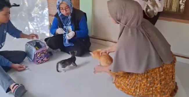 Warga Langsung Membawa Kucingnya Untuk Divaksin (instagram)