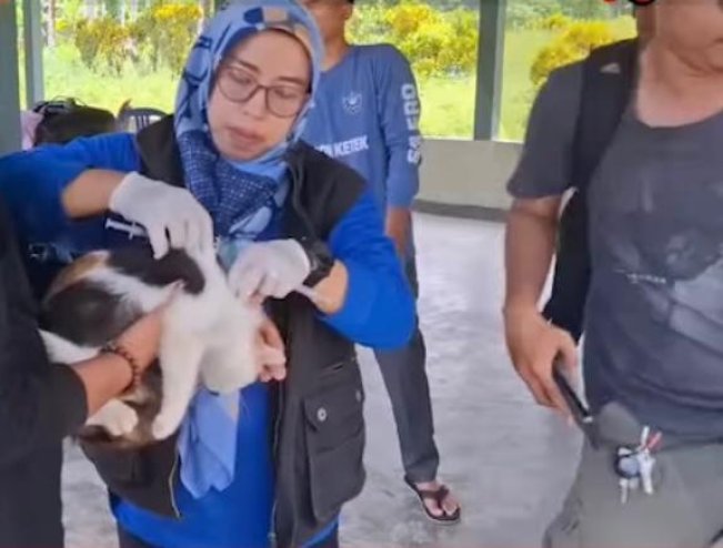 200 Vaksin Dibagikan Petugas