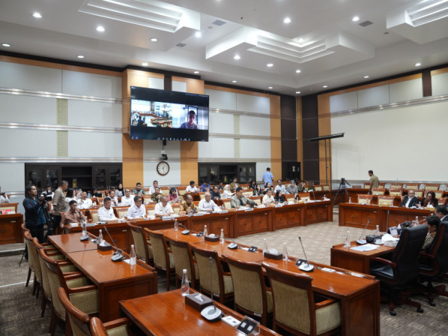 Permohonan Naturalisasi Mees Hilgers dan Eliano Reijnders Telah Disetujui dan Disahkan DPR RI