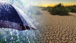 Waspada! Ribuan Kasus ISPA Serang Balita Hingga Lansia di Rejang Lebong, Ini Imbauan Dinkes