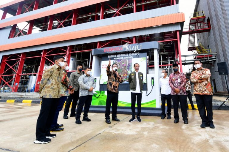 Jokowi Tegaskan Besarnya Potensi Hilirisasi dan Industrialisasi Kelapa Sawit