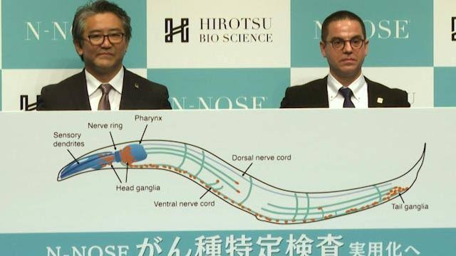 Canggih!  Jepang Gunakan Cacing untuk Deteksi Kanker