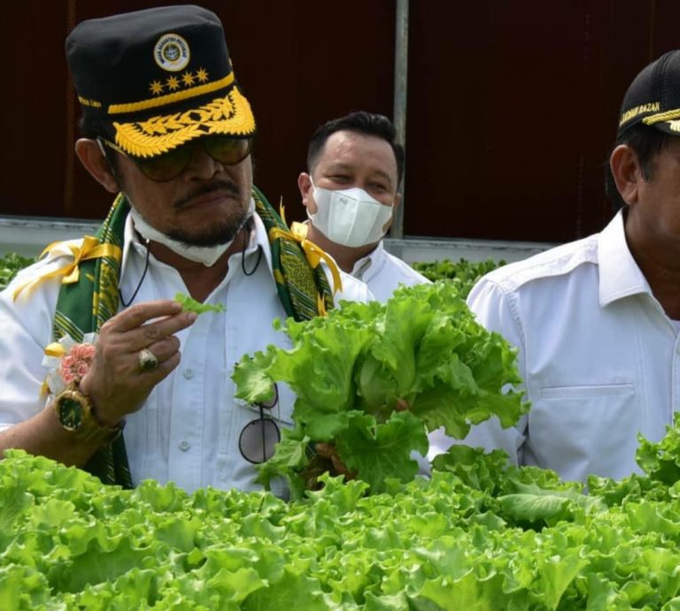 Kementan Pastikan Stok Pangan Aman Hingga Lebaran Tahun ini