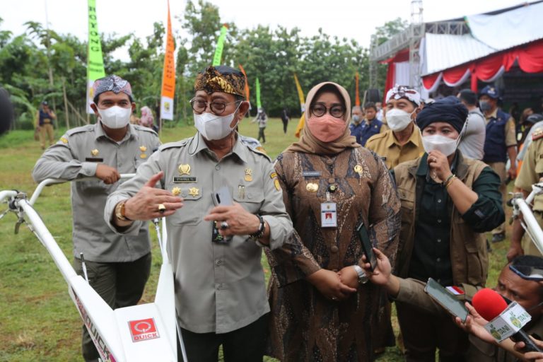 Panen Kacang Tanah di Sragen, Mentan Gerakkan Hilirisasi hingga Ekspor