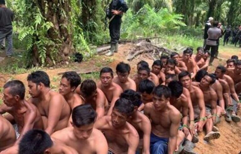 Sebanyak 40 Petani Sawit Ditahan Polisi, Kuasa Hukum Minta Penangguhan