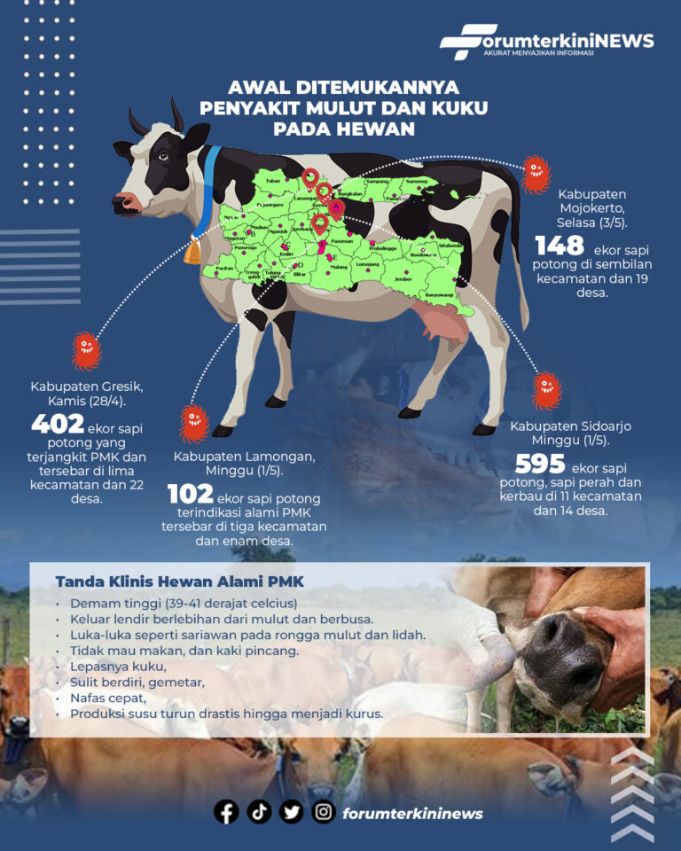 Infografis Tanda Klinis Hewan Alami PMK