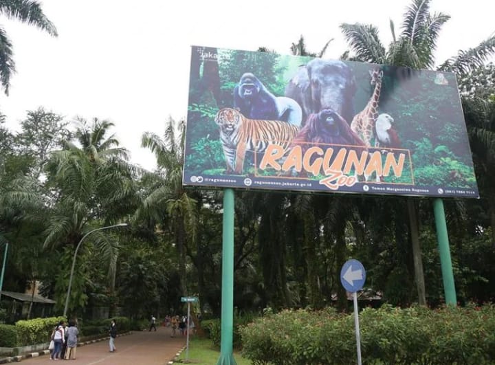 Hari ini, Puluhan Ribu Pengunjung Padati Taman Margasatwa Ragunan