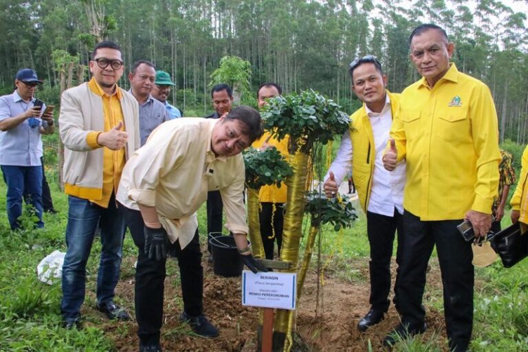 Airlangga Tanam Beringin di IKN Nusantara, Pertanda Apa?