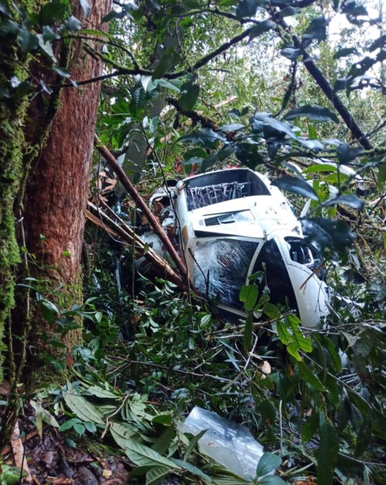 Kecelakaan Helikopter di Timika, Tim SAR Gabungan Berhasil Evakuasi Korban