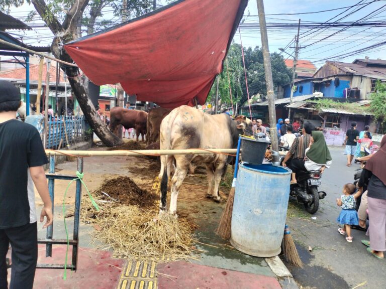 Ternak Pengidap Penyakit Mulut dan Kuku Ditemukan di Pasar Rebo, Jakarta Timur